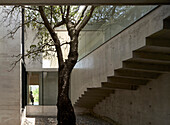 Central courtyard with tree, soffit of concrete staircase