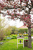 Blühender Apfelbaum, darunter Vintage Tischchen im Garten