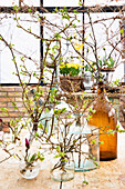 Spring branches in glasses on the terrace