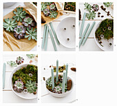 Instructions: Candle bowl with cones and succulents for Advent