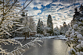 Winter at the garden pond, Botanical Garden Christiansberg, Mecklenburg Vorpommern, Germany