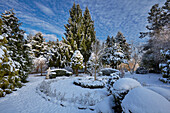 Winter im Botanischen Garten Christiansberg, Mecklenburg-Vorpommern, Deutschland