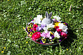 Blumenschale mit Osterhase auf dem Rasen