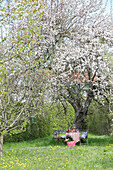 Gedeckter Tisch unter blühendem Baum im Garten