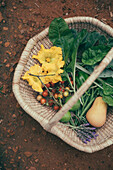 Basket with freshly harvested vegetables and flowers