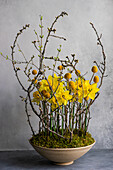 Daffodils (Narcissus), craspedia, and twigs as spring decoration