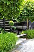 Moderner Garten mit Holzsitzbank, Gräsern und dunkler Sichtschutzwand