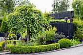 Well-tended garden with low hedges and Asian decorative element