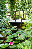 Garden bridge over a water lily pond surrounded by greenery