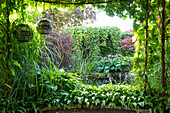 View of garden pond through leafy arbour opening