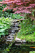 Garten mit kleinem Wasserfall und Teich umgeben von üppigem Grün
