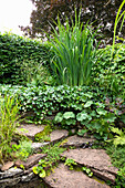 Rock garden with varied planting and natural design