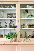 Display cabinet with collections and houseplants