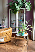 Leather armchair, plants and round side table in front of display cabinet