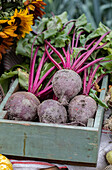 Beetroot in a green wooden crate