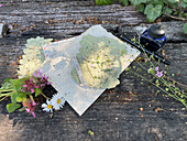 DIY-Samenpapier aus Blumensamen und Eierkarton