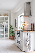 White kitchen with plant and display cabinet, country style