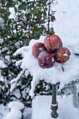 Apple decoration in the snow with fairy lights on a metal stand