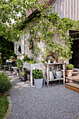 Garden corner with plant table and watering cans on gravel path next to wooden house