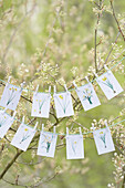 DIY flower drawings hung on a string in the spring garden