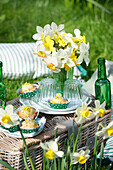 Picnic in the meadow with daffodils and muffins
