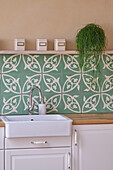 Kitchen sink, green patterned tiles and hanging plant