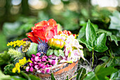Colorful summer flowers in shabby clay pot