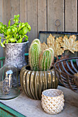 Kaktus auf Holztisch mit dekorativen Accessoires