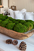 Moss balls in a rustic wooden bowl on a white table with pine cone decoration