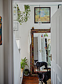 Hallway with large ethnic-style mirror, hanging green plants and black dog