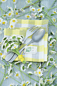 Garden table with cutlery and daisies (Bellis perennis) on a chequered cloth, name plate, still life