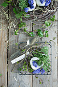 Egg shells filled with grape hyacinths (Muscari) on metal grid, silver spoon and name card and nest