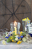 Windlicht mit Kerze in Kranz aus Traubenhyazinthen (Muscari), Schlüsselblumen (Primula veris), Primeln und Heu