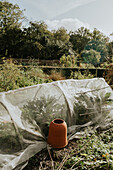 Gemüsegarten mit Schutznetz im Herbst