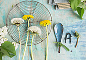 Tin spoon wrapped with a grass ribbon, lilac flowers (Syringa), dandelions and dandelion flowers (Taraxum), DIY letter made from string, spring decoration