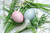 Easter eggs between grass, feathers and Pasque flower leaves