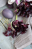 Gefranste Tulpen (Tulipa) und Osterei auf Holztisch