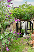 Arbour with flowering lilac bushes (Syringa) in the summer garden