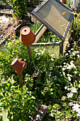 Raised bed and clay pots surrounded by daisies in the sunny garden