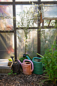 Watering cans in front of a greenhouse with flowering plants