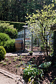 Greenhouse with wooden tub and garden plants in sunny garden