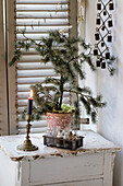 Fir branch in a pot with candle holder on an old, white table