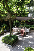 Shady seating area under a tree with wooden table and chairs in the garden