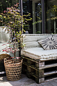 Garden lounge with pallet sofa and wicker basket with maple tree