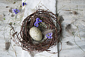 Easter egg with lettering, horned violets (Viola cornuta) and feather in a nest made of birch twigs