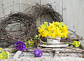 Bouquet of mini daffodils (Narcissus) and primroses in a cup, wreath of willow twigs and purple primula (Primula denticulata)