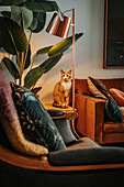 Reading corner with floor lamp and a cat on the table