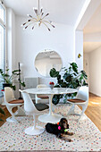 Dog is sitting in front of a round marble dining table with white tulip chairs