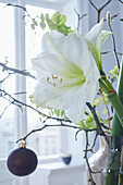 Blumenstrauß mit weißer Amaryllis und Weihnachtskugeln