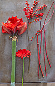 Rote Blüten: Amaryllis und Gerbera, Zweig mit roten Beeren und rote Zweige